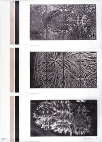 FIUWAC 085-1999 Katharina Sieverding
