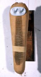 FIUWAC 145-2000 Waldo Bien