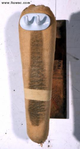 FIUWAC 145-2000 Waldo Bien