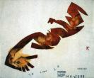 FIUWAC 146-2000 Jacobus Kloppenburg
