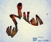 FIUWAC 149-2000 Jacobus Kloppenburg