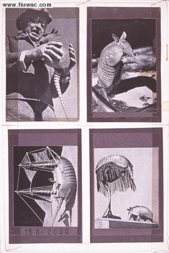 FIUWAC 168-2000 Harry Hoogstraten