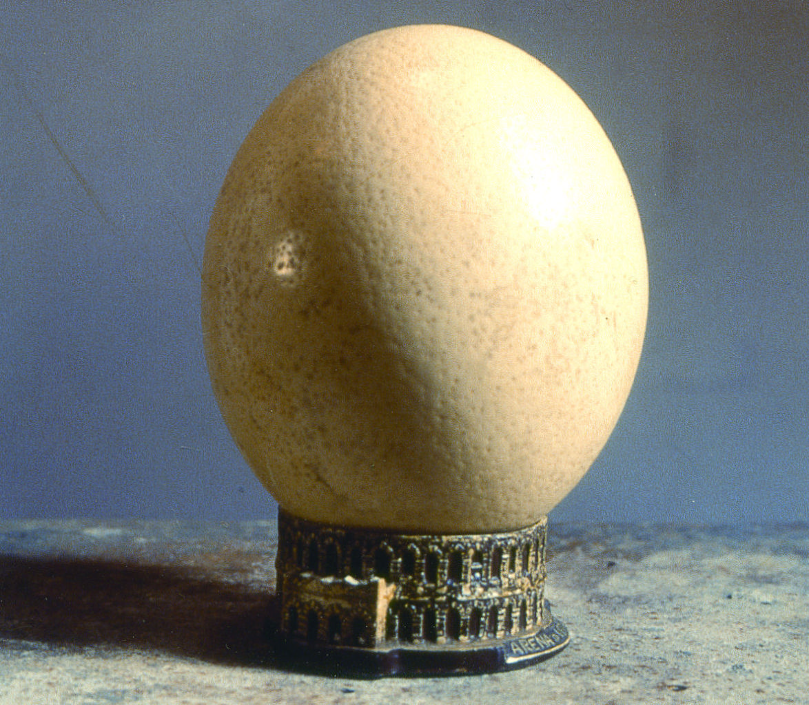 FIUWAC 191-2000 Jacobus Kloppenburg