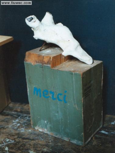 FIUWAC 249-2001 Waldo Bien