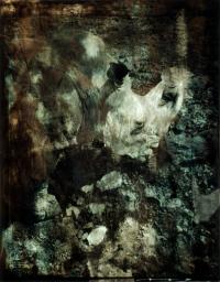 FIUWAC 267-2001 Alfons Alt