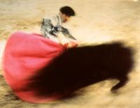 FIUWAC 275-2001 Alfons Alt