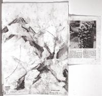 FIUWAC 290-2001 Hilarius Hofstede