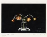 FIUWAC 300-2002 David Lebe